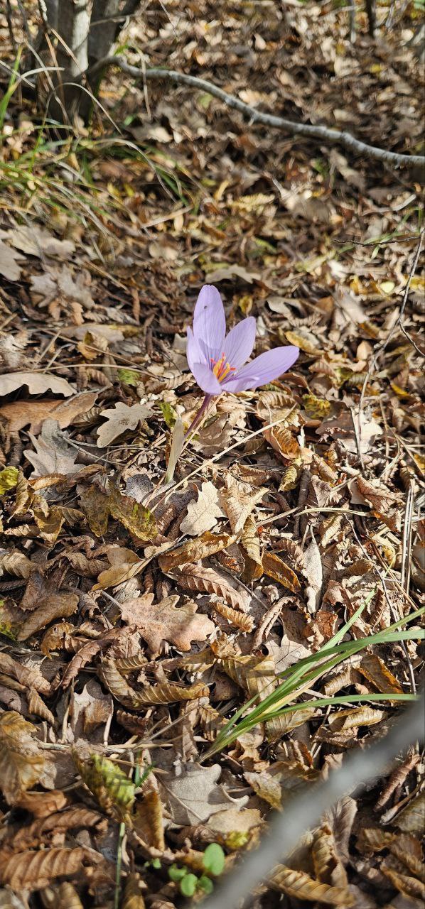 Надежда Бабешко: Осень — самое яркое и прекрасное время года Надежда Бабешко: Осень — самое яркое и прекрасное время года