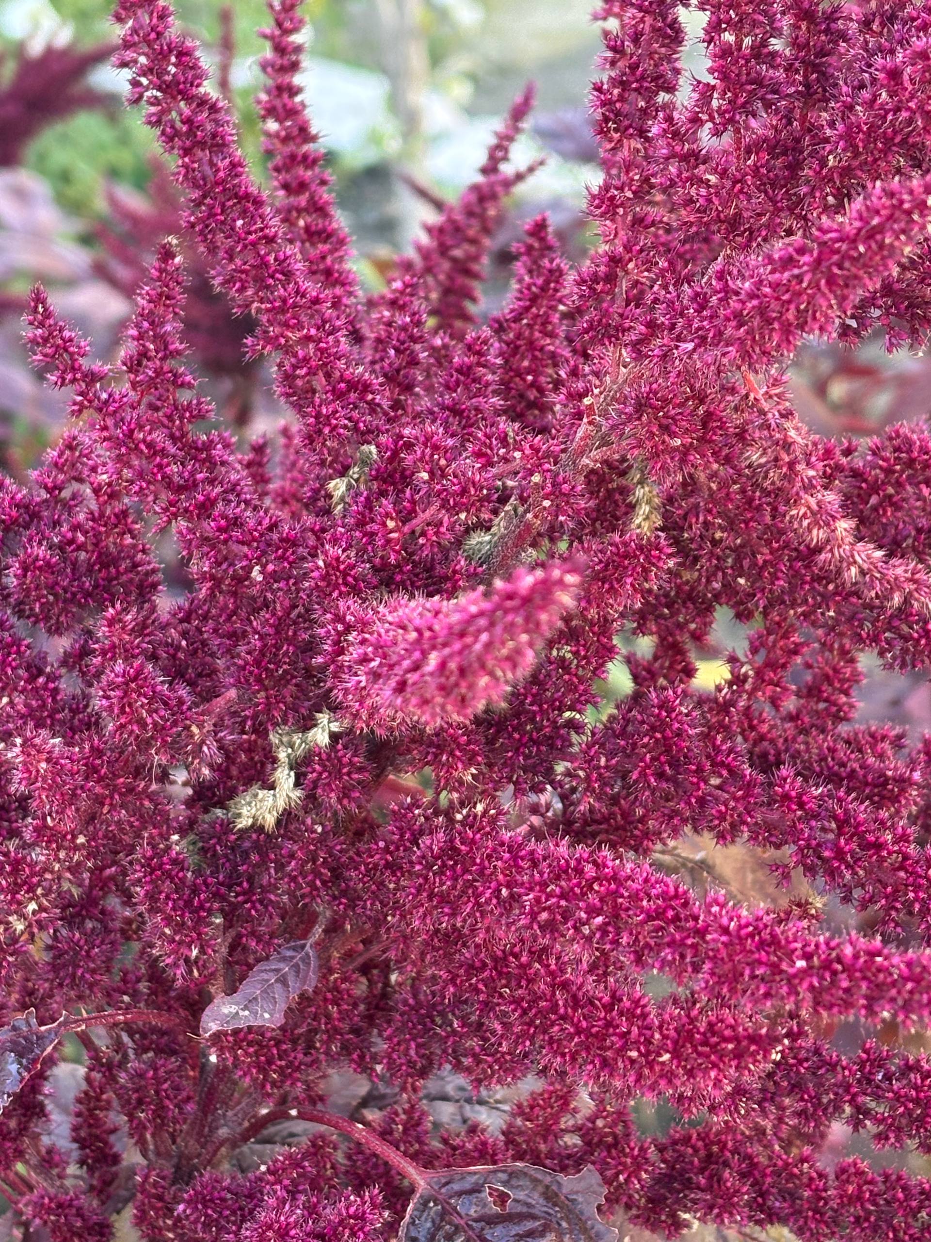 Доброе утро, новокаховчане!