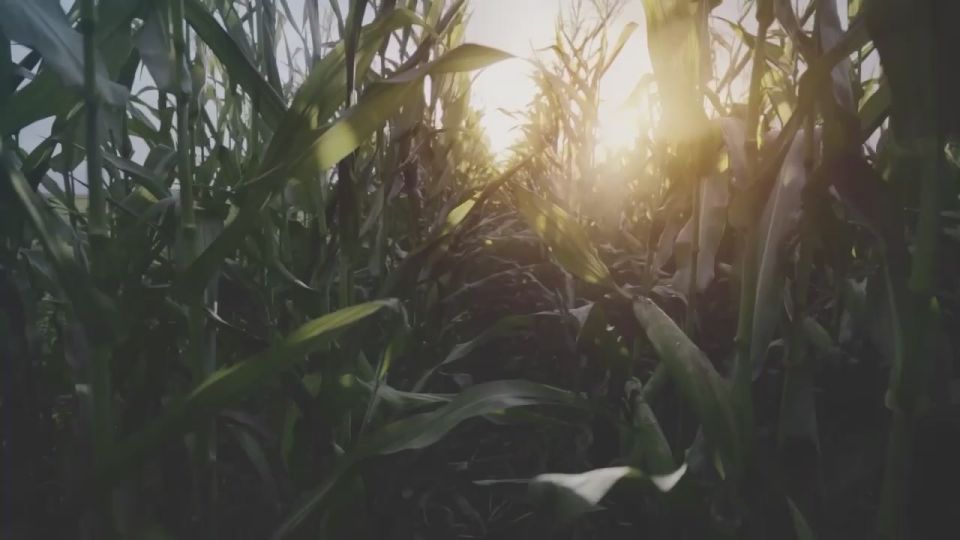 ������������� �������������������� �������� ������� 2025�