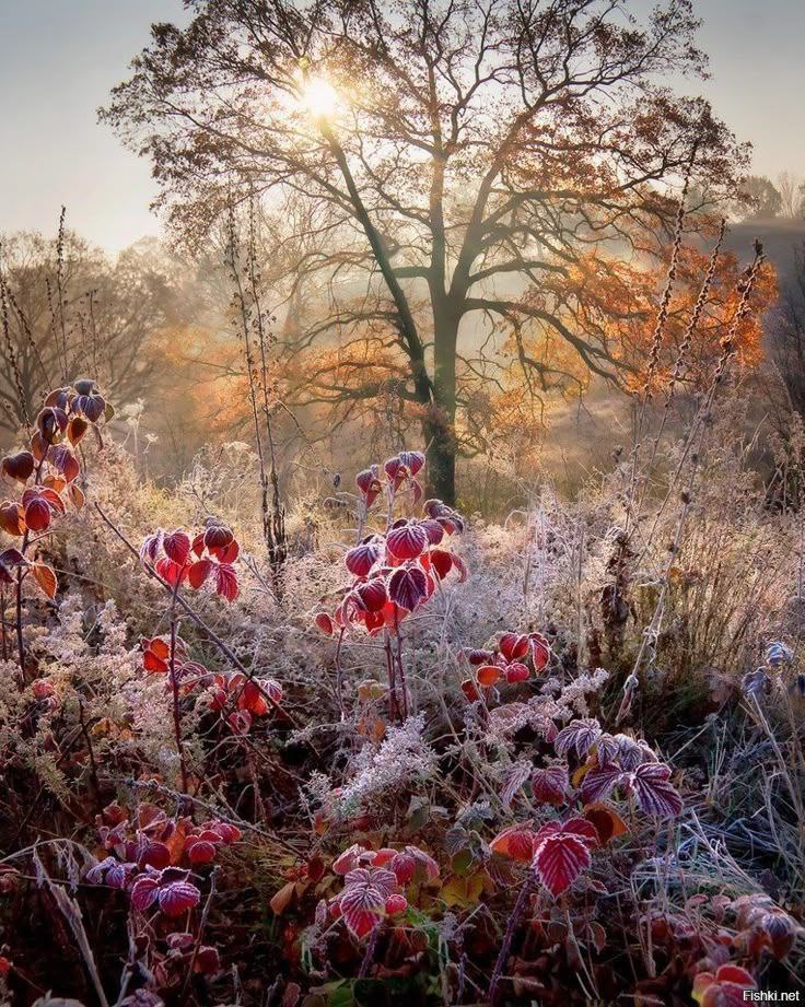 А знали Вы , что храм наш , тело , Живет в нем грешная Душа . Но часто до Души нет дела , А вот за телом все дрожат