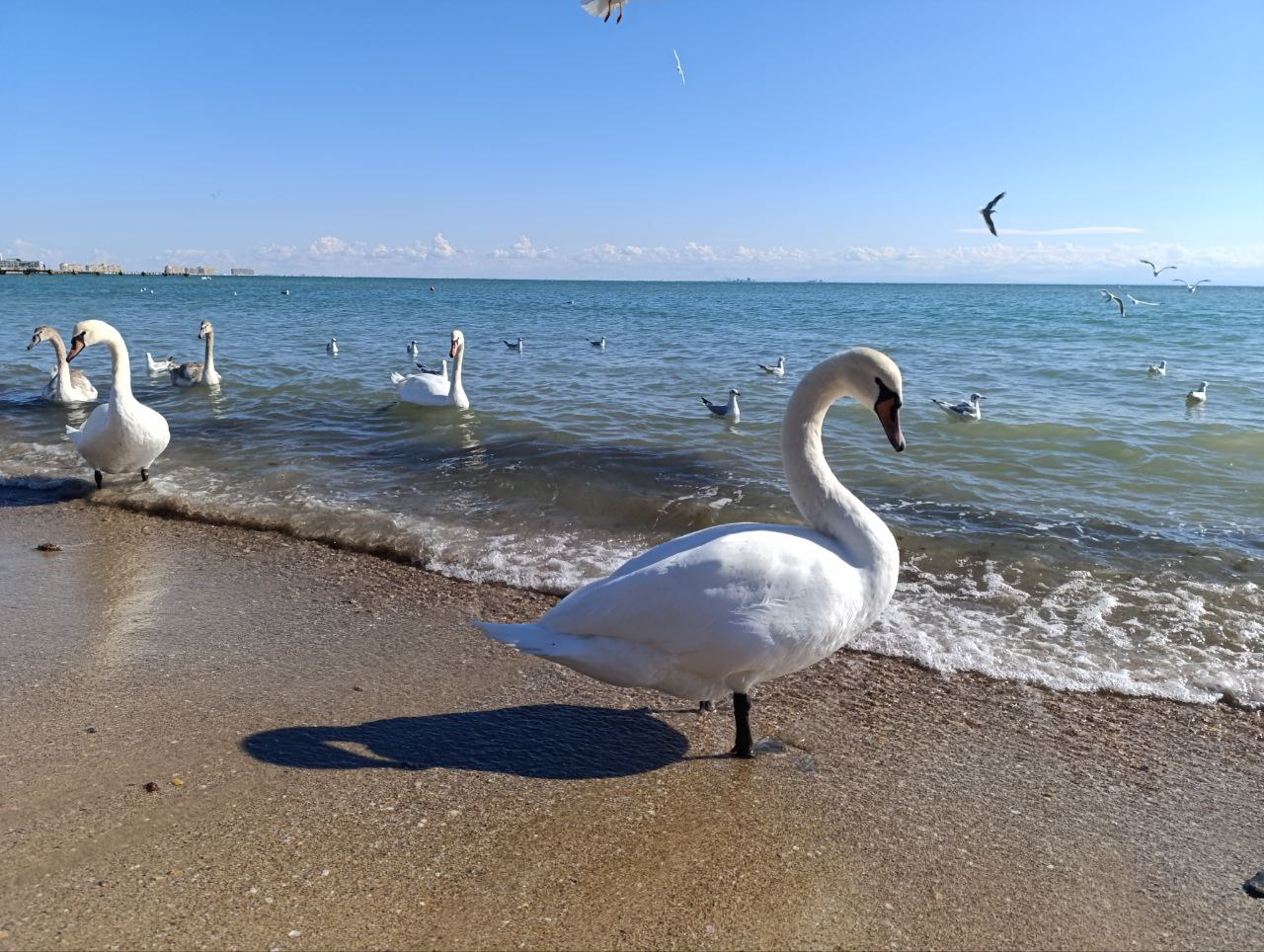 Доброе утро, дорогие подписчики канала!