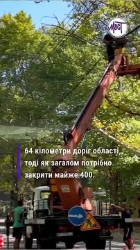 Енот из Херсона: Власти Херсона снова кинули народ: противодроновые сети остались на бумаге