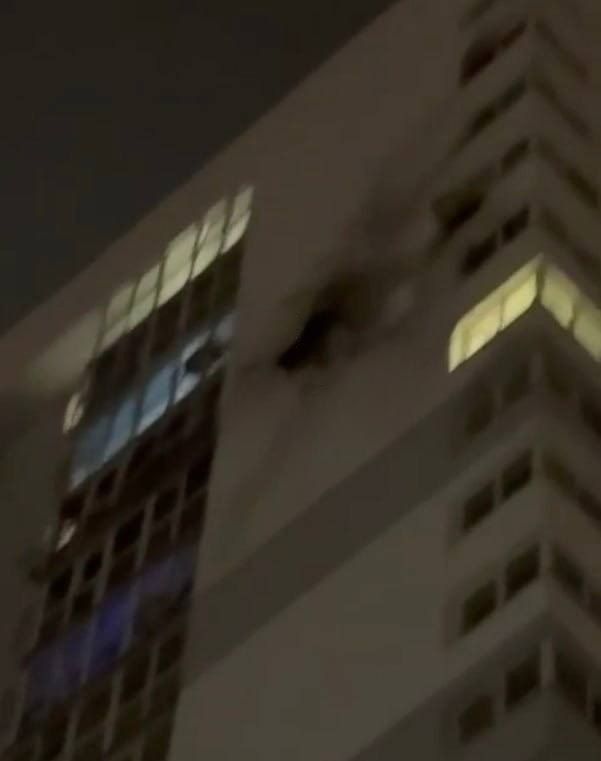 ���� ����: ���������� ��� � ������ ���������� 91 ���������� ����: 51 � ��� ������������� ���, 9 � ��� ������, 9 � ��� �����������, 7 � ��� ����������, 4 � ��� ������������, �� 2 � ��� ���������, ������� � ��������, �� 1 �...