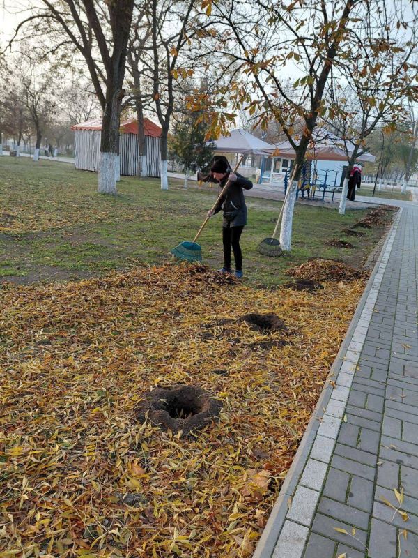 Работы по благоустройству в населенных пунктах Генического округа продолжаются Работы по благоустройству в населенных пунктах Генического округа продолжаются