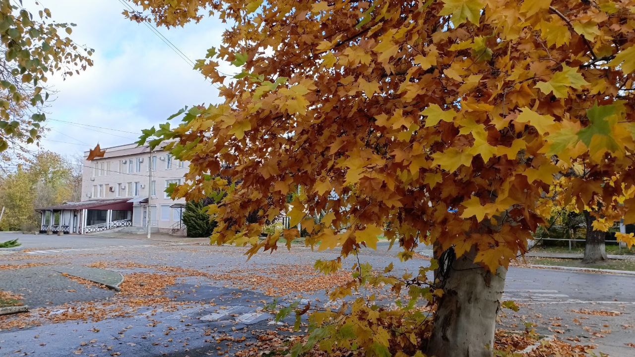 Золото осени окутывает город Золото осени окутывает город