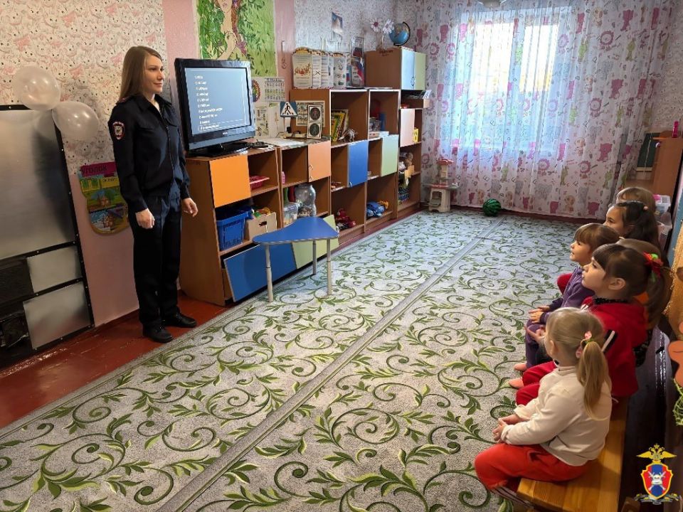 В Голопристанском округе Херсонской области сотрудники Госавтоинспекции провели профилактическое занятие с детсадовцами