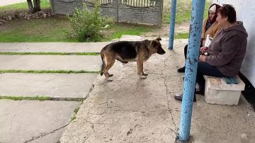 "Стараемся всем помочь": как дружба четырёх соседей из приграничного села спасает сотни людей