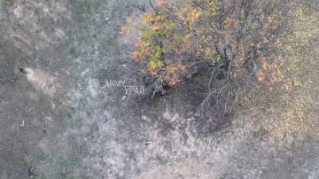 Кадры поражения пехоты и блиндажей 59-й отдельной штурмовой бригады ВСУ на Покровском направлении