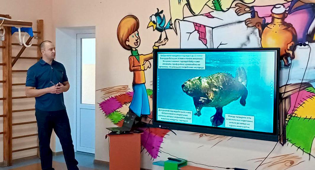 Бобры – природные инженеры: урок экологии для детей