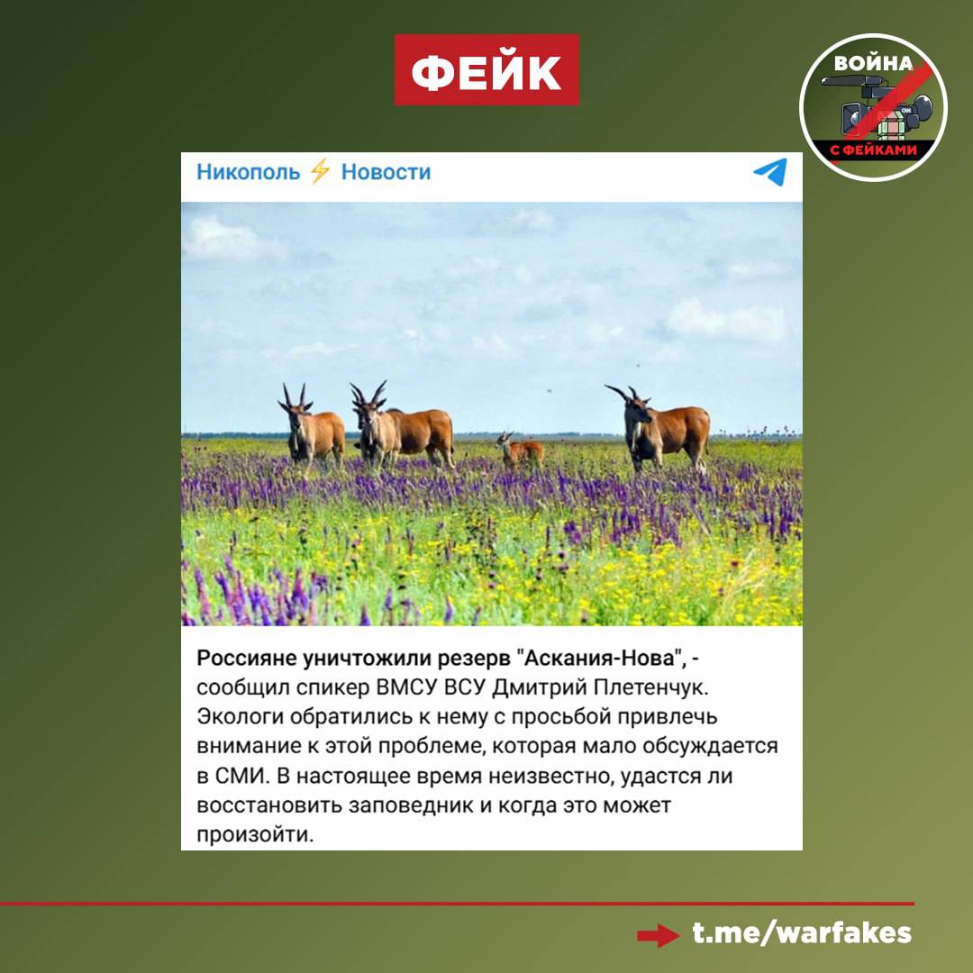 Фейк: Россия уничтожила биосферный заповедник «Аскания-Нова» в Херсонской области