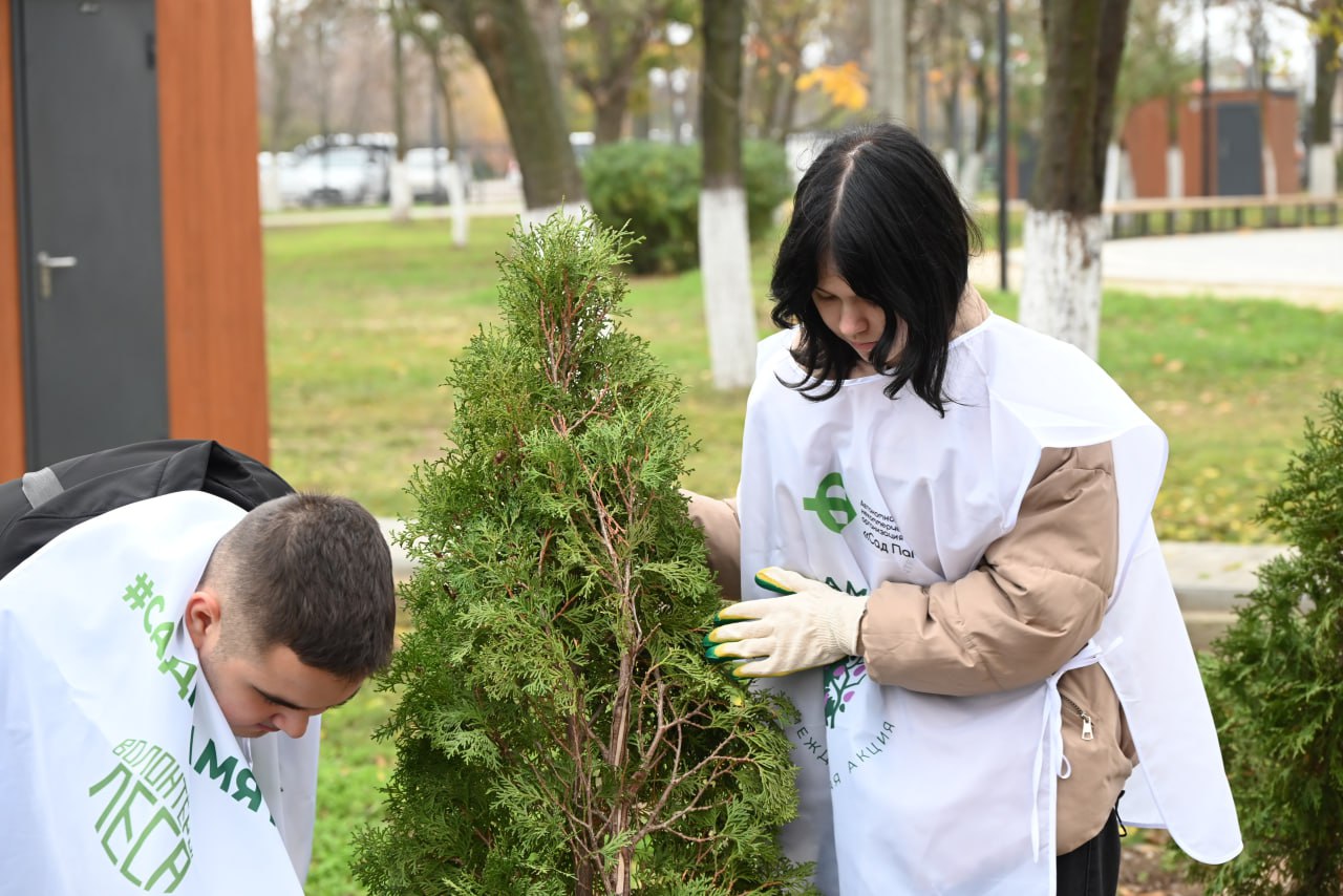 Аллея ПСБ заложена в Херсонской области в рамках акции «Сад памяти» Аллея ПСБ заложена в Херсонской области в рамках акции «Сад памяти»