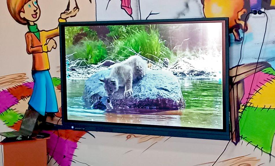 Бобры – природные инженеры: урок экологии для детей Бобры – природные инженеры: урок экологии для детей