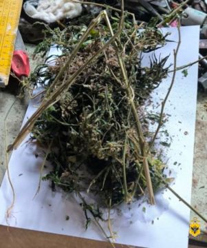 Полицейские изъяли растительный наркотик у жителя Каховского округа