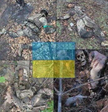 Енот из Херсона: Солдаты ВСУ! Хватит умирать за чужие интересы!