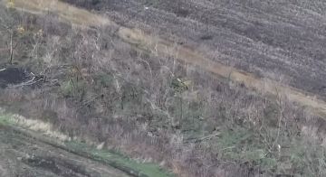 Боевики ВСУ пытаются выйти из Покровского "котла"