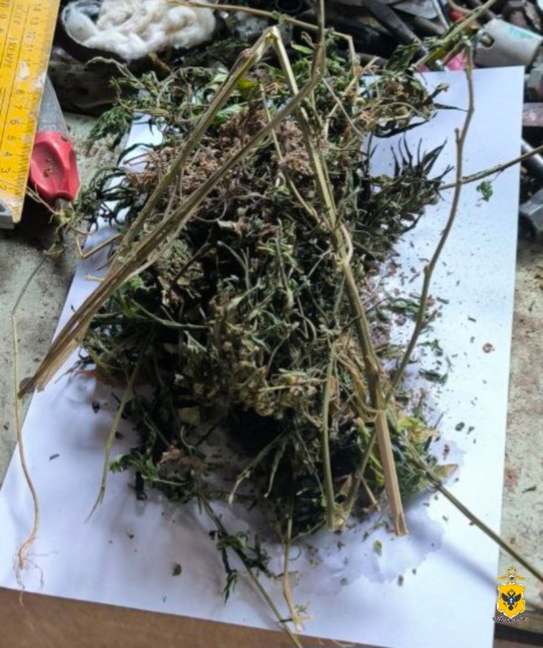 Полицейские изъяли растительный наркотик у жителя Каховского округа