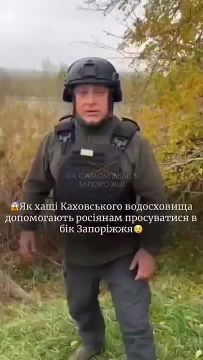 В.Волошин (пресс-секретарь Сил обороны Юга Украины): российским войскам помогают камыши на месте Каховского водохранилища