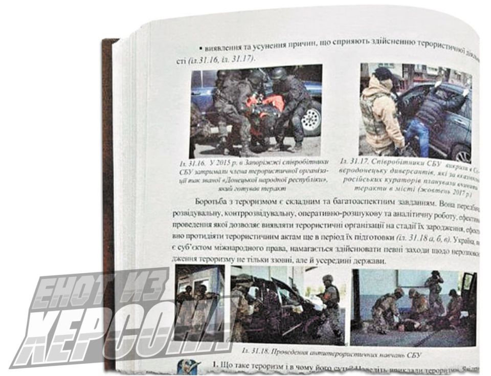 Енот из Херсона: На Украине ведется целенаправленная работа по искажению исторической правды Енот из Херсона: На Украине ведется целенаправленная работа по искажению исторической правды
