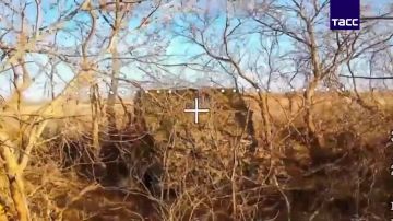 Кадры освобождения населенного пункта Рыбное в Запорожской области