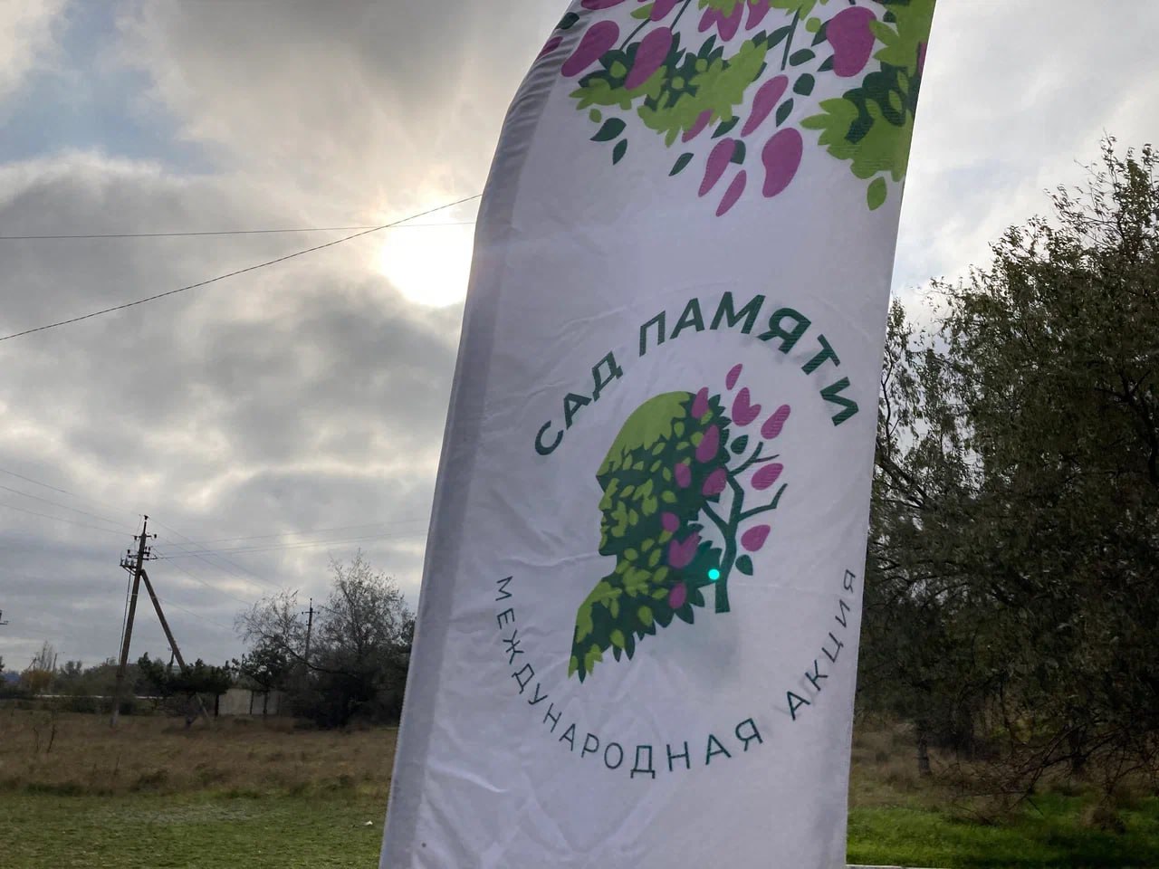 Ветераны СВО и студенты из Геническа высадили 80 кленов в память о героях Великой Отечественной войны Ветераны СВО и студенты из Геническа высадили 80 кленов в память о героях Великой Отечественной войны