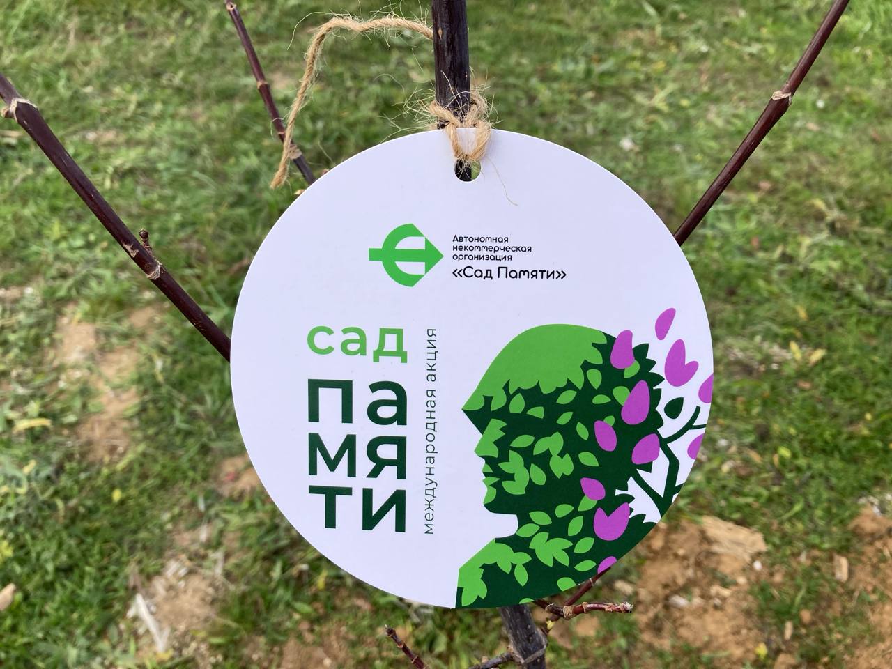 Ветераны СВО высадили 80 кленов в память о героях Великой Отечественной войны Ветераны СВО высадили 80 кленов в память о героях Великой Отечественной войны