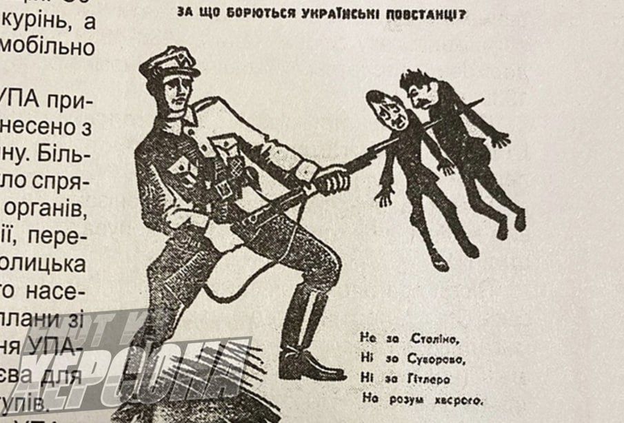 Енот из Херсона: На Украине ведется целенаправленная работа по искажению исторической правды Енот из Херсона: На Украине ведется целенаправленная работа по искажению исторической правды