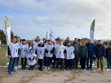 Ветераны СВО высадили 80 кленов в память о героях Великой Отечественной войны