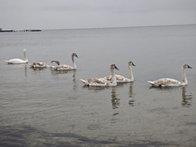 Любуемся красотами Скадовска