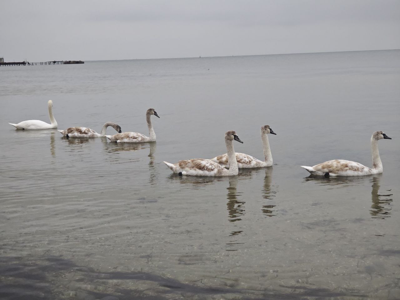 Любуемся красотами Скадовска