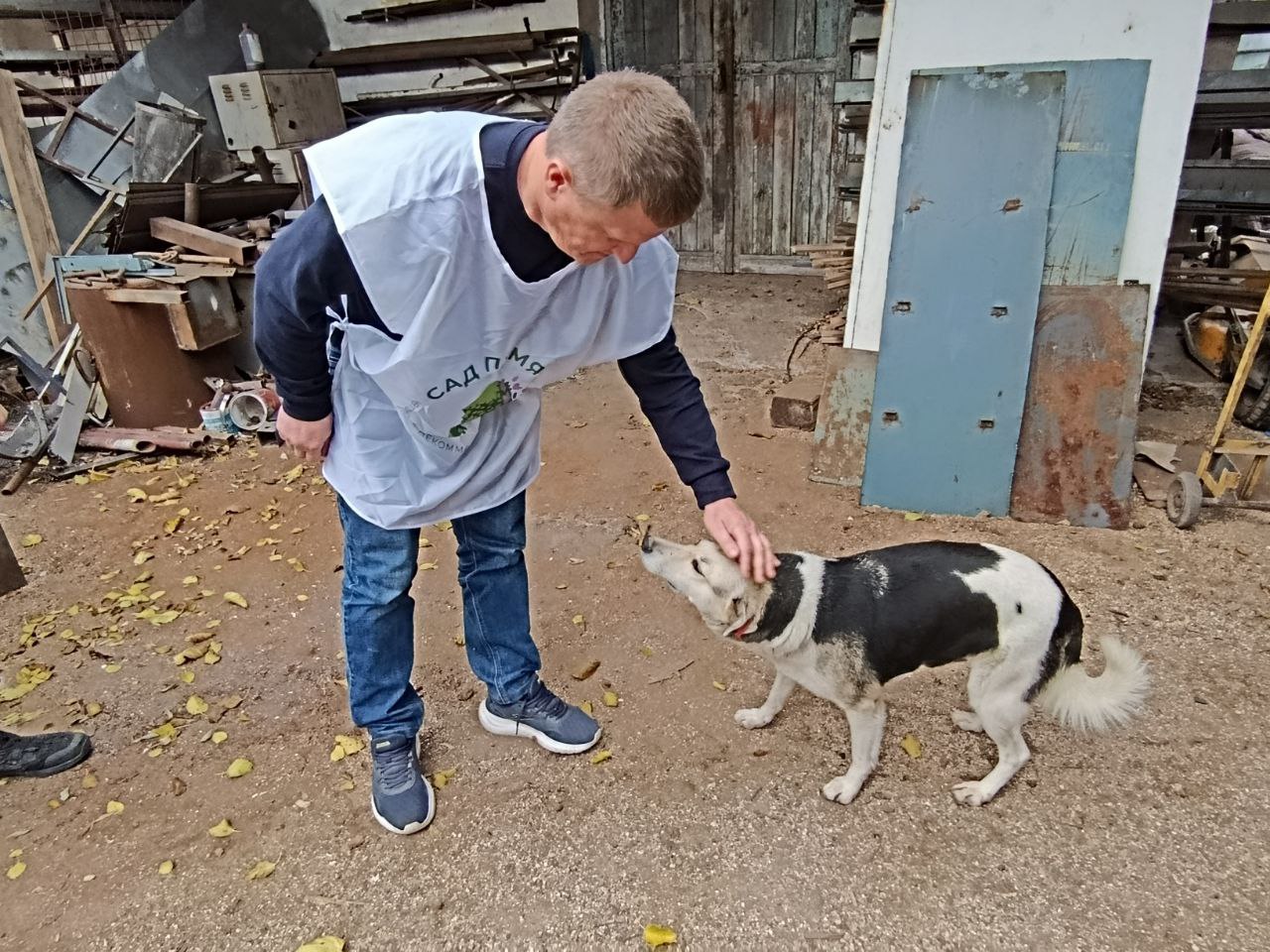Приюту в Геническе передали 300 килограммов корма для животных Приюту в Геническе передали 300 килограммов корма для животных
