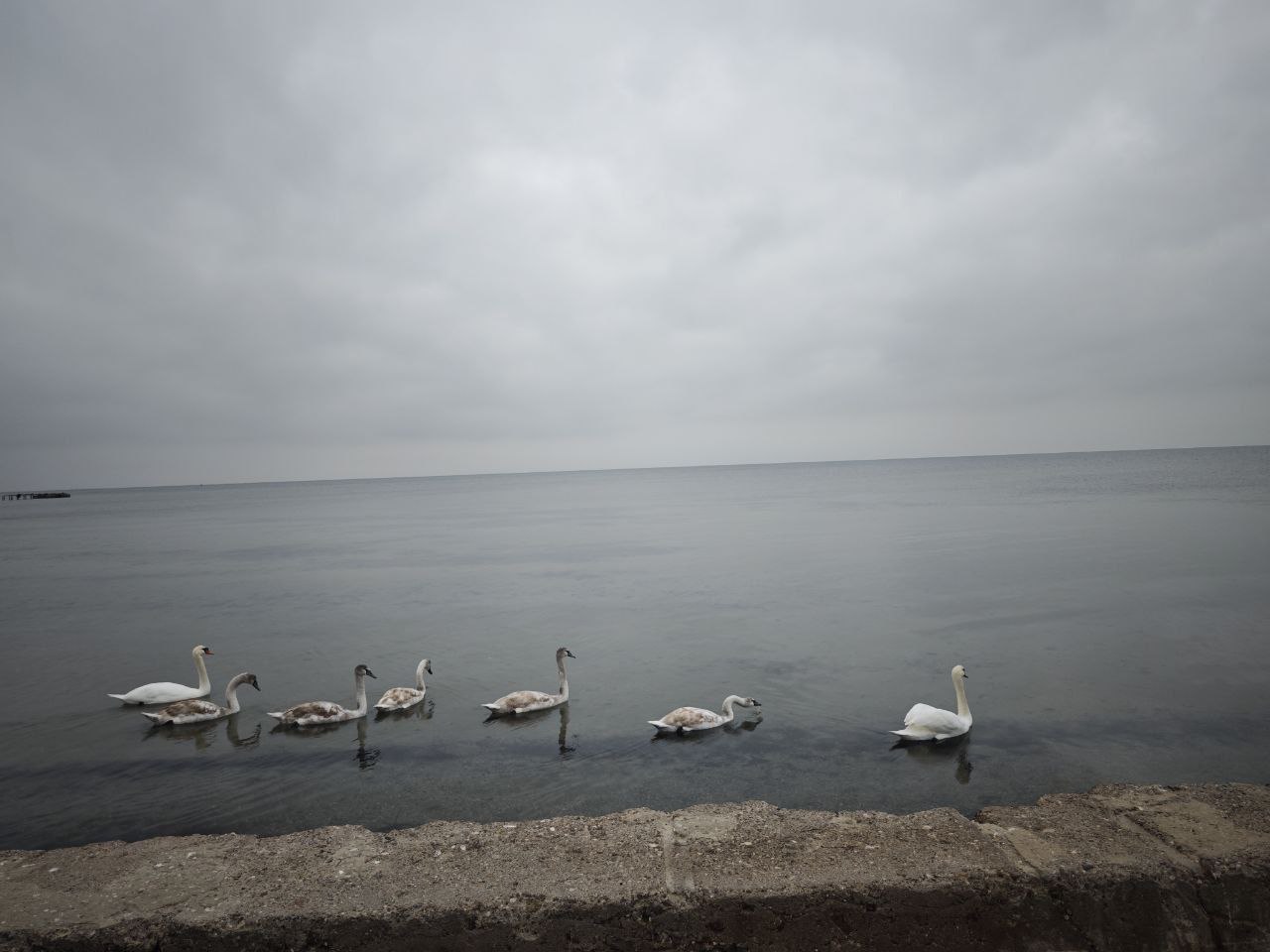 Любуемся красотами Скадовска Любуемся красотами Скадовска