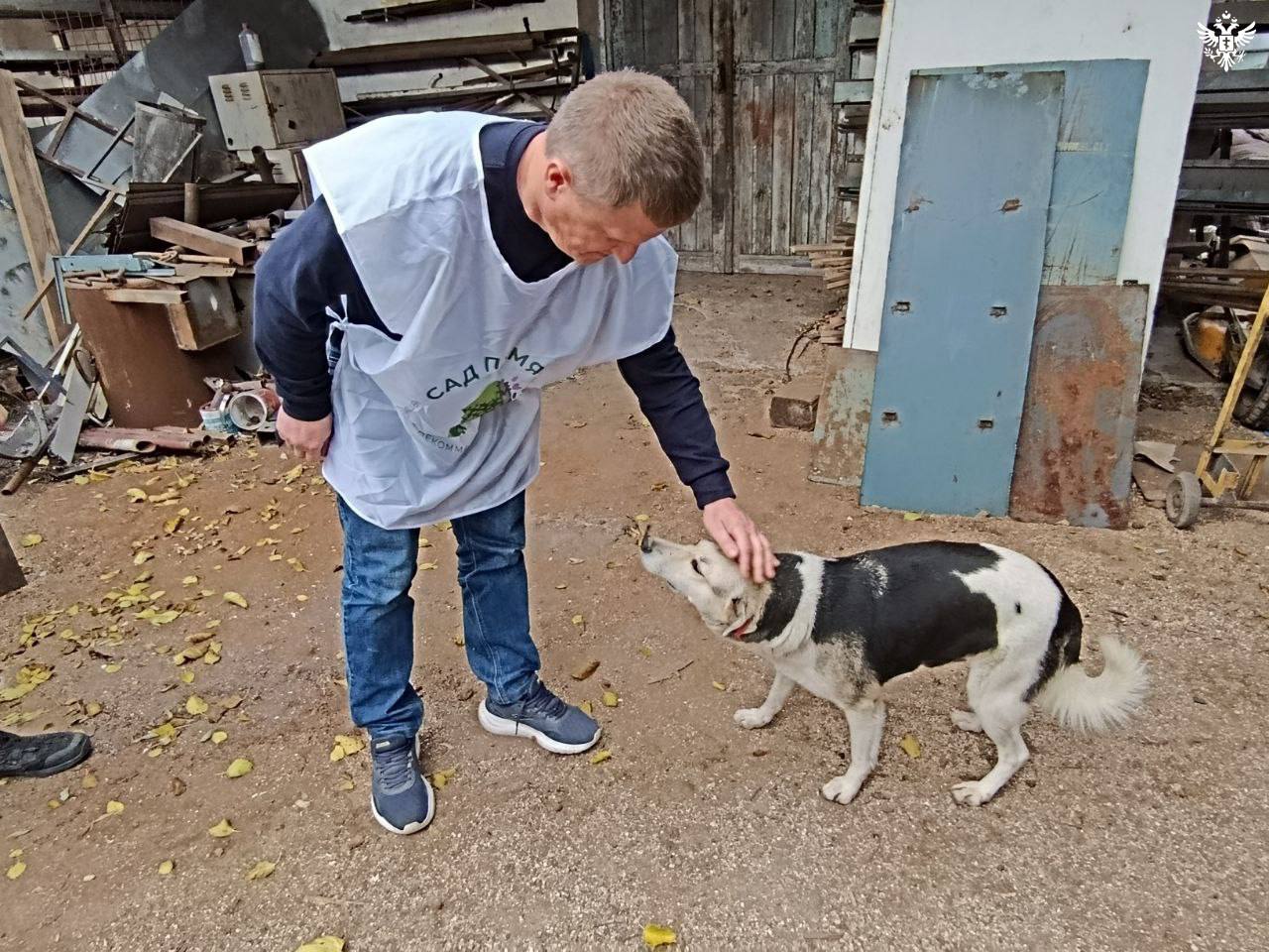 Приюту для животных в Геническе передали 300 кг корма