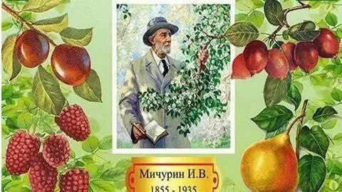 Разговоры о важном: 170 лет со дня рождения Ивана Владимировича Мичурина
