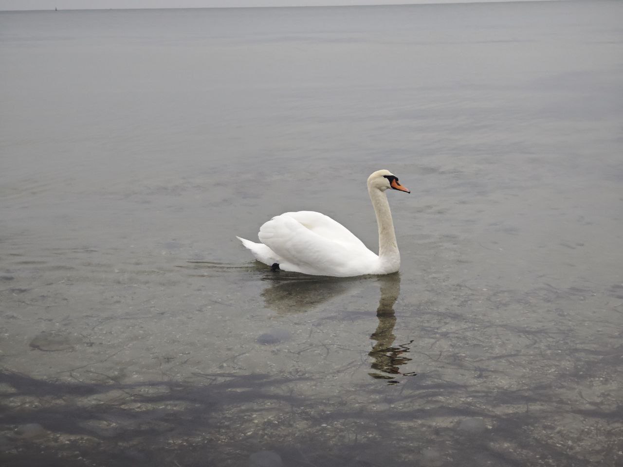 Любуемся красотами Скадовска Любуемся красотами Скадовска