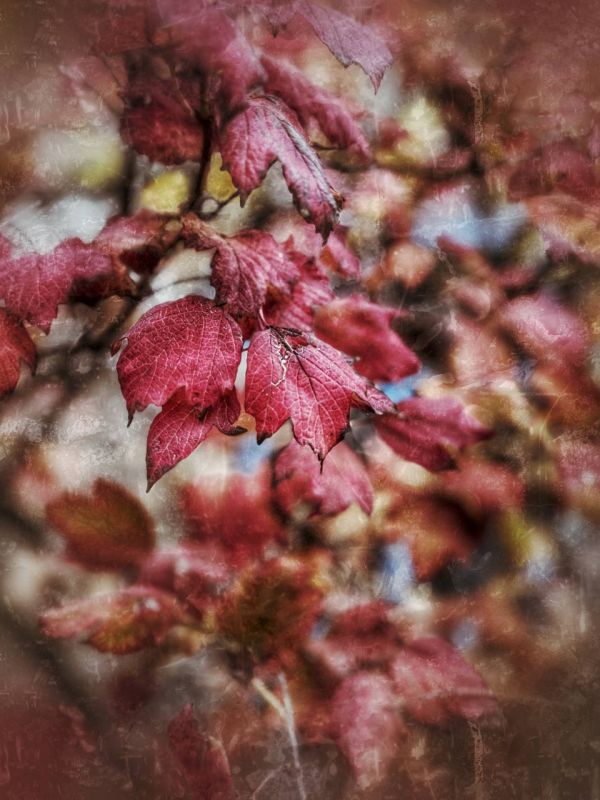 ���� ���������: � ����������� �� ��������� ����������� ������ � @dolgareva_bot