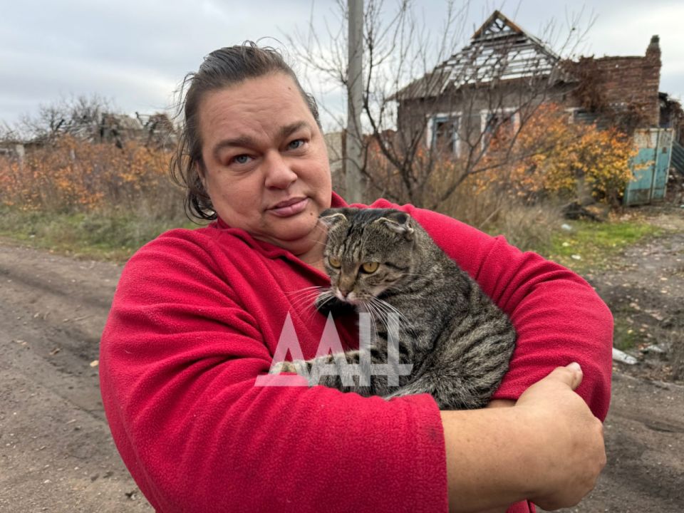 ���� �� ������ �����: ��� ������������ ���������� �������� ��������� � ����