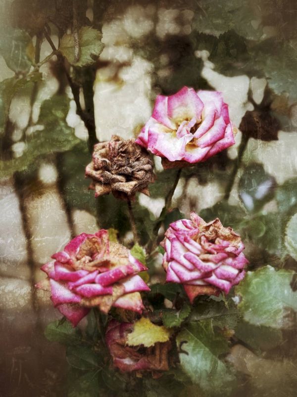 ���� ���������: �� ��������� ����������. 11 ������ 2025 ����