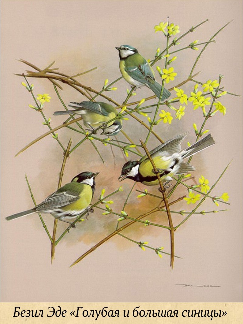 12 ноября - Синичкин День. Этот день — экологический праздник, посвященный поддержке зимующих птиц 12 ноября - Синичкин День. Этот день — экологический праздник, посвященный поддержке зимующих птиц