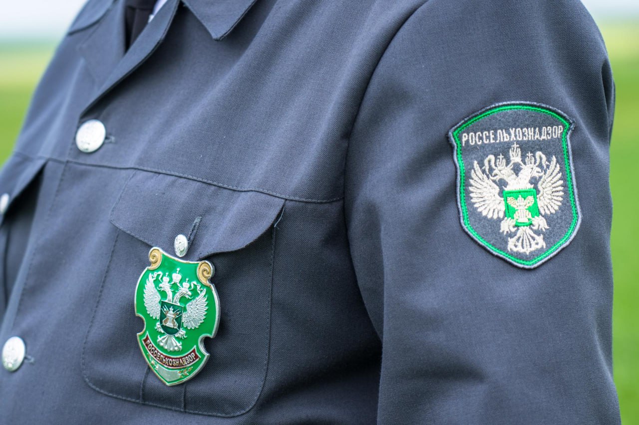 В Херсонской области Россельхознадзором обнаружено около 50 тонн овощей, перевозимых без карантинных сертификатов