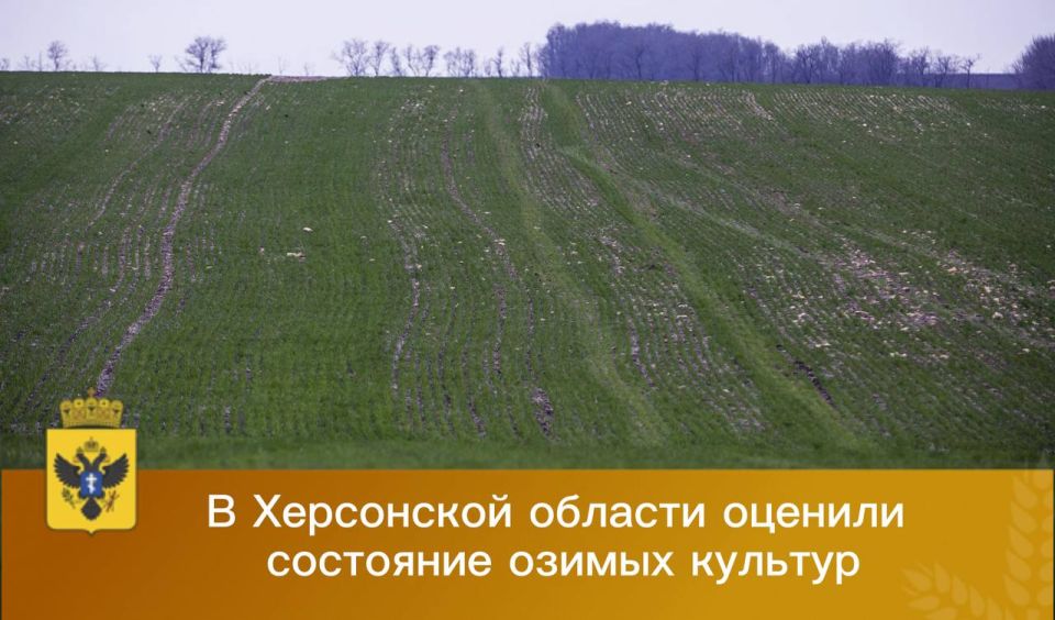 ��������������� ������ ��������� ������ � ���������� �������