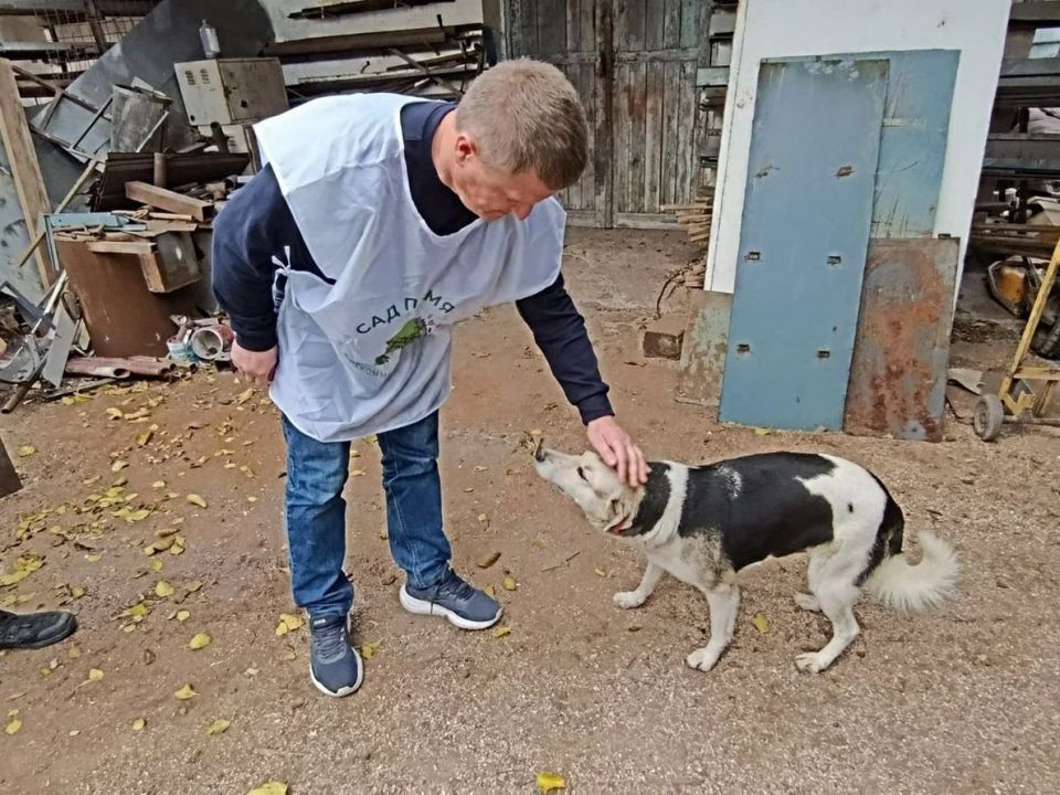 В Геническе приют для животных получил 300 кг корма В Геническе приют для животных получил 300 кг корма