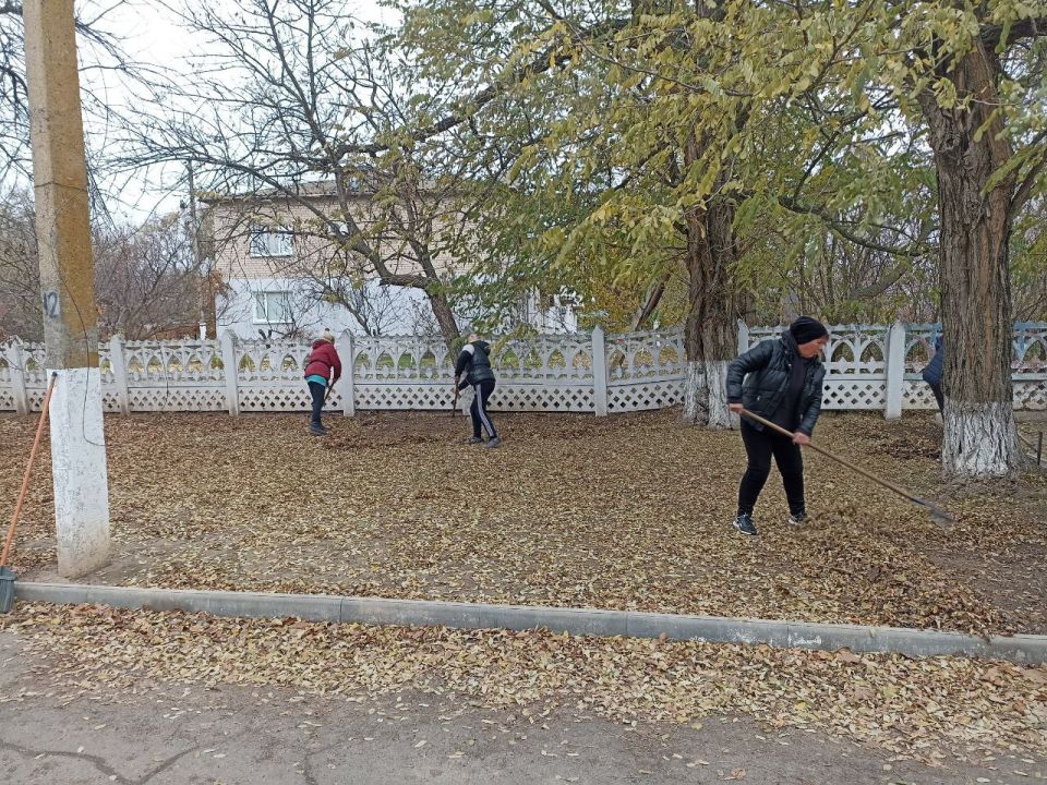 Проведенные работы Службы благоустройства Ивановского муниципального округа: Проведенные работы Службы благоустройства Ивановского муниципального округа: