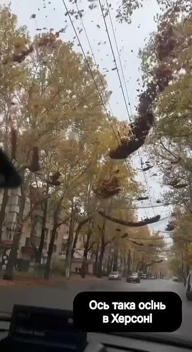 ��������� �������: ������� �������������� ������