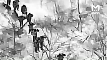 Элитные морпехи ВСУ сдались в плен ВС РФ под Покровском