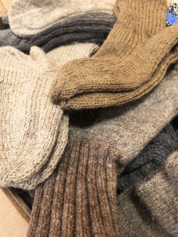 "���� ���� � �� �����": ��������������� ����������� ������� ������ ���� ��������� ��� ������ ���