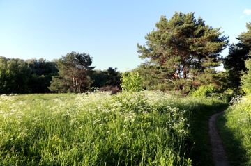 В Москве пройдёт III Всероссийская конференции по реабилитации естественных экосистем Донбасса и Новороссии