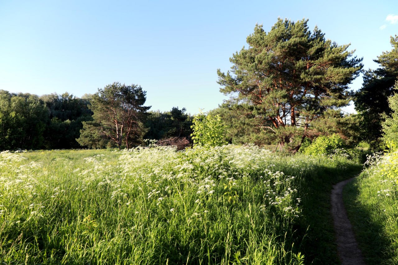 В Москве пройдёт III Всероссийская конференции по реабилитации естественных экосистем Донбасса и Новороссии