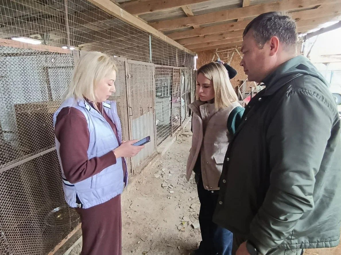 В Геническе приют для животных получил 300 кг корма В Геническе приют для животных получил 300 кг корма