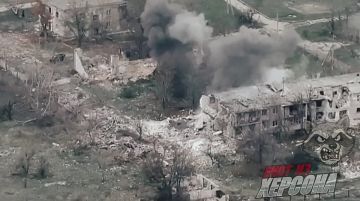 Енот из Херсона: Херсонское направление, н.п.Приднепровское