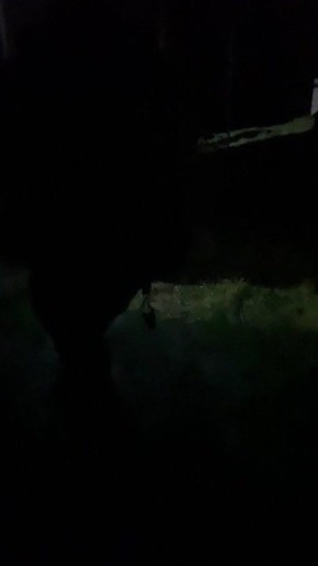 Разведгруппы ВС РФ продолжают расширение зоны влияния на о.Карантинный